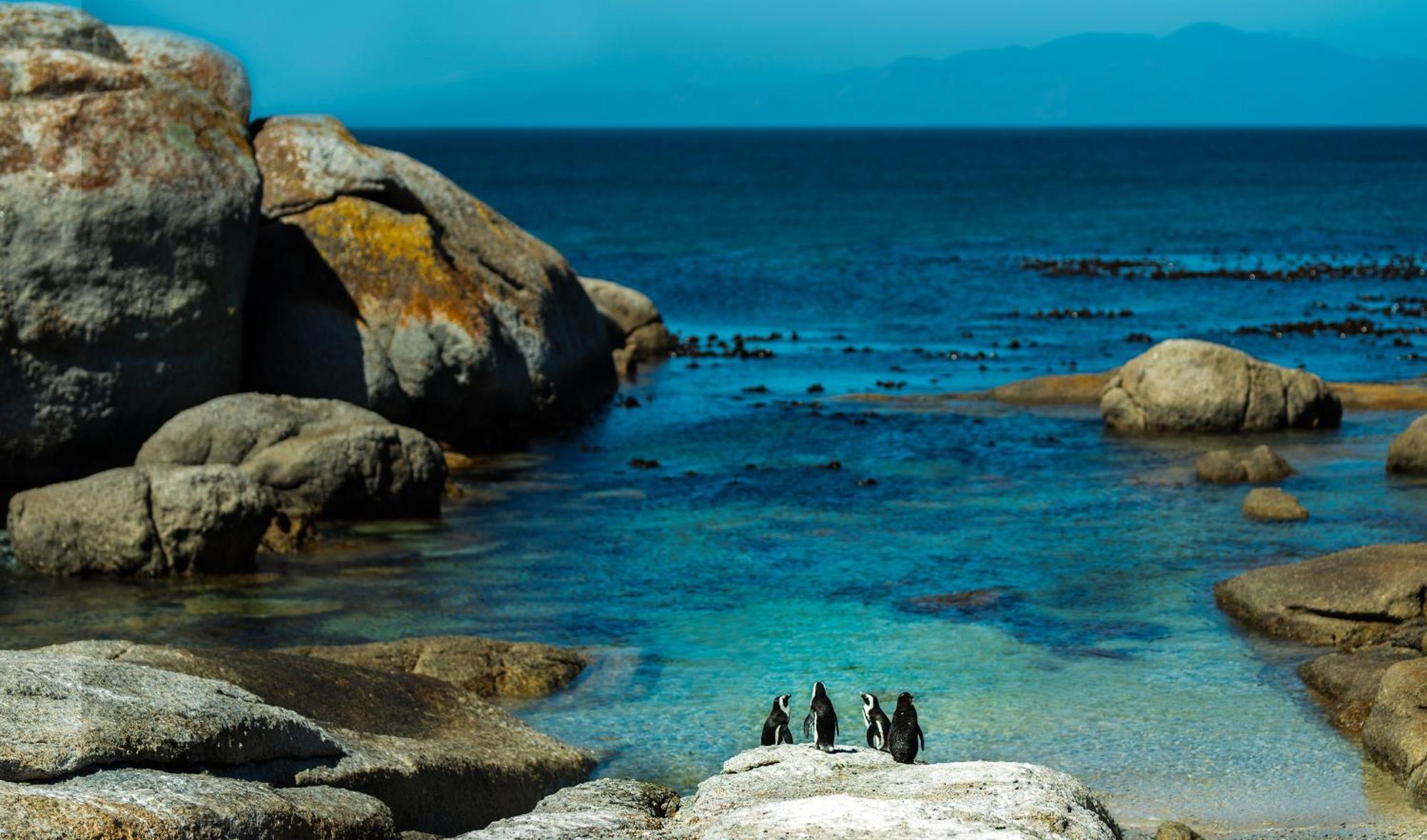 Eclectic Heritage Paradise Simonʼs Town エクステリア 写真