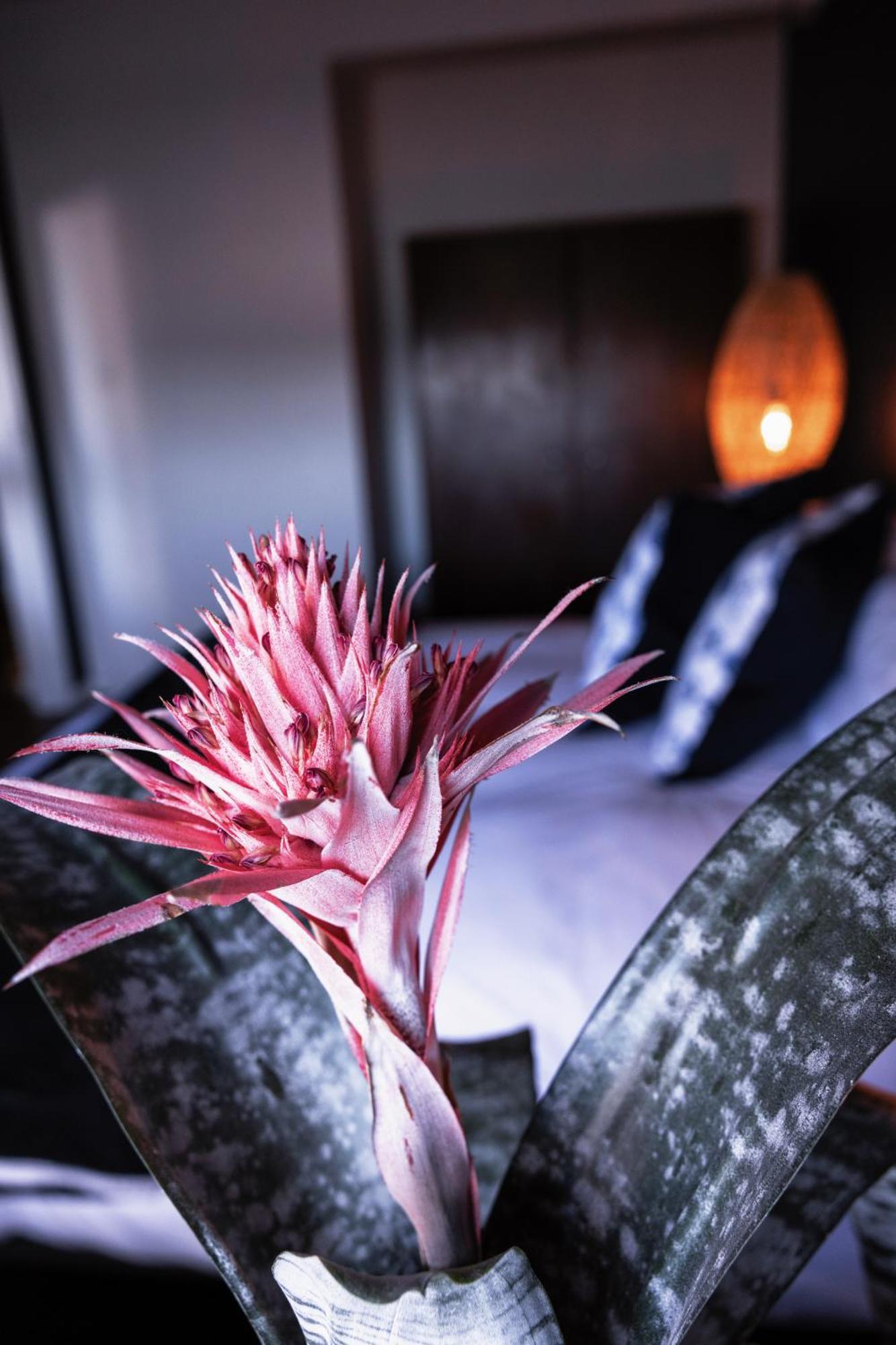Eclectic Heritage Paradise Simonʼs Town エクステリア 写真